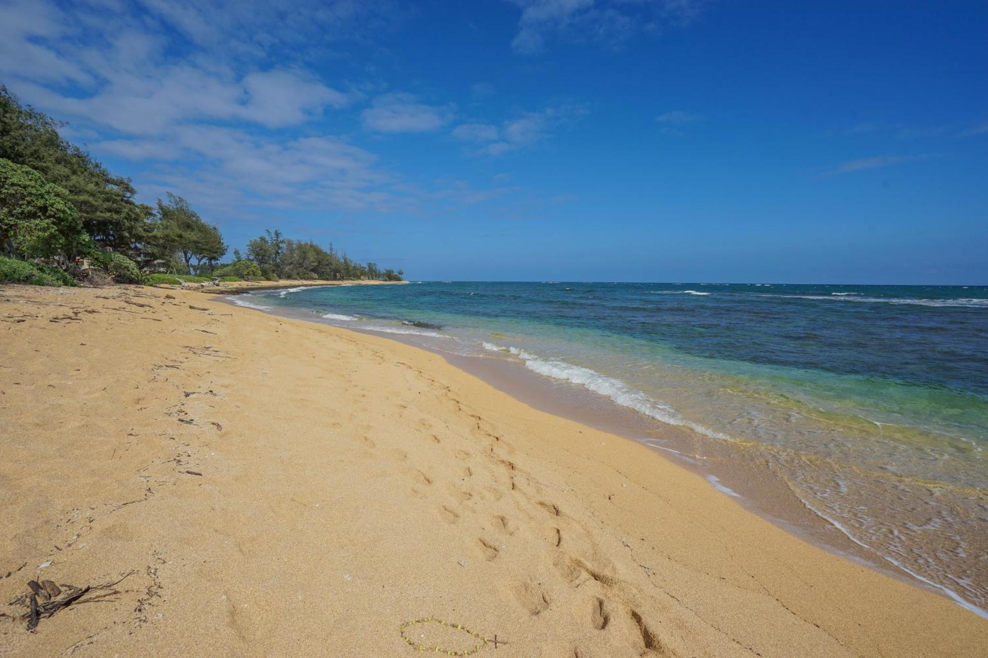 Seaview At The Islander On The Beach Oceanview Studio 201 Kapa'a Eksteriør bilde